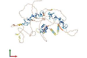 Protein Structure (PS) image for Actin Binding LIM Protein 1 (ABLIM1) (AA 1-778) protein (His tag) (ABIN7551921)