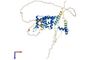 HMBOX1 Protein (AA 1-419) (His tag)
