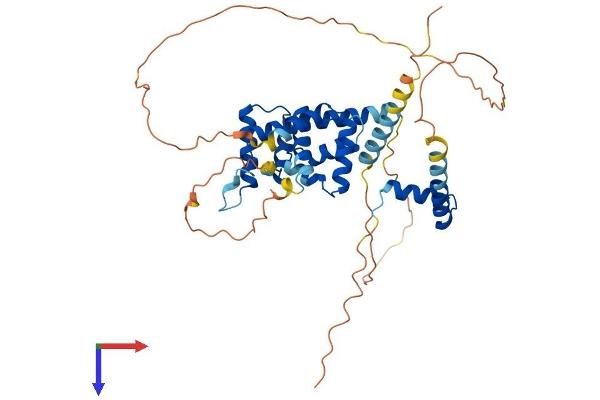 HMBOX1 Protein (AA 1-419) (His tag)