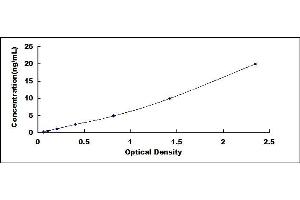 TLR1 ELISA Kit