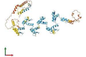 AlphaFold protein structure predicition of Human Recombinant ZNF284 Protein, UniprotID Q2VY69