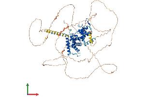 AlphaFold protein structure predicition of Human Recombinant CCNT2 Protein, UniprotID O60583
