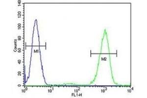 ADA antibody flow cytometric analysis of HL-60 cells (right histogram) compared to a negative control (left histogram).