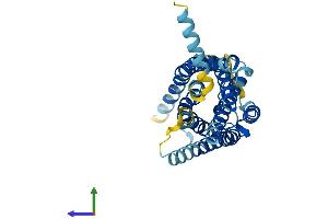Protein Structure (PS) image for Succinate Receptor 1 (SUCNR1) (AA 1-317) protein (His tag) (ABIN7560416)