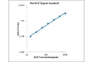 ELISA image for Epidermal Growth Factor (EGF) ELISA Kit (ABIN2472105)