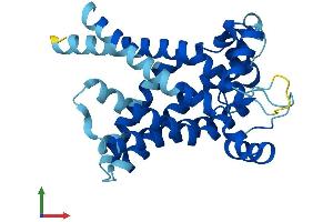 AlphaFold protein structure predicition of Mouse Recombinant Slc25a21 Protein, UniprotID Q8BZ09