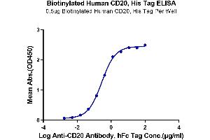 ELISA image for Membrane-Spanning 4-Domains, Subfamily A, Member 1 (MS4A1) (AA 141-188) protein (His-Avi Tag,Biotin) (ABIN7274103)