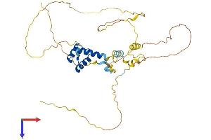 VSX1 Protein (AA 1-365) (His tag)