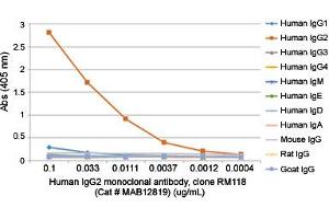 ELISA analysis of Human IgG2 monoclonal antibody, clone RM118  at the following concentrations: 0. (Kaninchen anti-Human Immunoglobulin Heavy Constant gamma 2 (G2m Marker) (IGHG2) Antikörper)