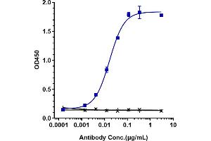 Immobilized human TIGIT His at 2 μg/mL can bind Anti-TIGIT Reference Antibody (tiragolumab), EC50=0.