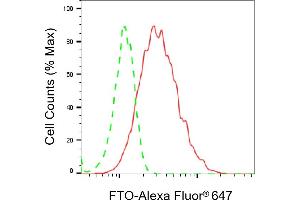 Flow cytometric analysis of FTO expression in HAP-1 cells using FTO antibody (ABIN7798581), 1:2,000). (Rekombinanter FTO Antikörper)