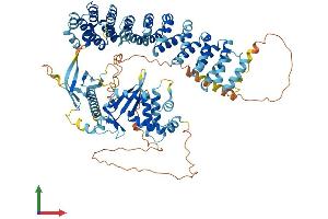 Protein Structure (PS) image for Ventricular Zone Expressed PH Domain-Containing 1 (VEPH1) (AA 1-833) protein (His tag) (ABIN7561851)