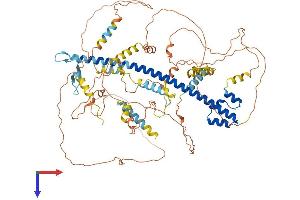 NFE2L1 Protein (AA 1-772) (His tag)