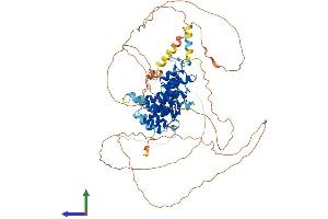 Protein Structure (PS) image for Nuclear Factor of kappa Light Polypeptide Gene Enhancer in B-Cells Inhibitor, zeta (NFKBIZ) (AA 1-728) protein (His tag) (ABIN7565067)