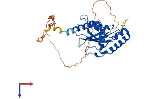 AKTIP Protein (AA 1-292) (His tag)