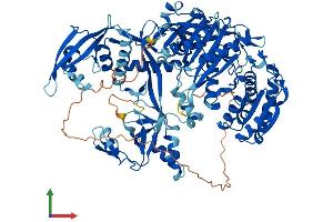 Protein Structure (PS) image for Piwi-Like 1 (PIWIL1) (AA 1-862) protein (His tag) (ABIN7565122)