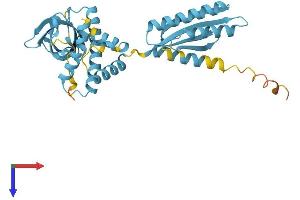 EIF2S1 Protein (AA 1-315) (His tag)