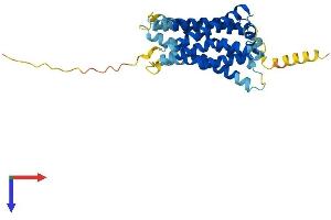 MRGPRX1 Protein (AA 1-322) (His tag)