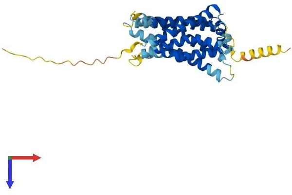 MRGPRX1 Protein (AA 1-322) (His tag)