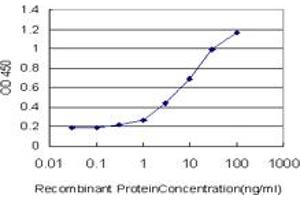 Detection limit for recombinant GST tagged TLN1 is approximately 0. (TLN1 Antikörper  (AA 1052-1149))