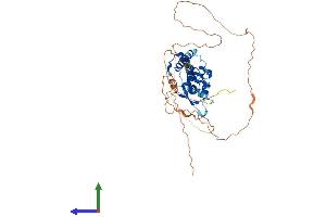 Protein Structure (PS) image for Transcription Factor AP-2 delta (Activating Enhancer Binding Protein 2 Delta) (TFAP2D) (AA 1-452) protein (His tag) (ABIN7552255)