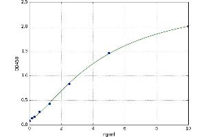 Reticulon 3 (RTN3) ELISA Kit