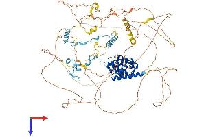 PPP1R10 Protein (AA 1-888) (His tag)