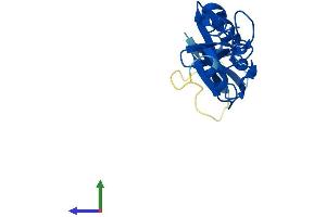 Protein Structure (PS) image for LIM Domain Only 2 (Rhombotin-Like 1) (LMO2) (AA 1-158) protein (His tag) (ABIN7551295)
