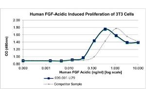 SDS-PAGE of Human Fibroblast Growth Factor acidic Recombinant Protein Bioactivity of Human Fibroblast Growth Factor acidic Recombinant Protein. (FGF acidic Protein)