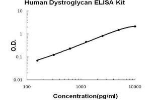 Human Dystroglycan PicoKine ELISA Kit standard curve (Dystroglycan ELISA Kit)