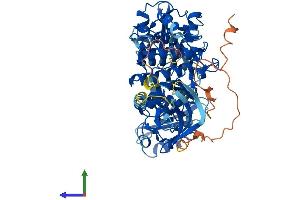 Protein Structure (PS) image for zeta-Chain (TCR) Associated Protein Kinase 70kDa (ZAP70) (AA 1-619) protein (His tag) (ABIN7556127)