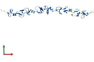 Protein Structure (PS) image for Four and A Half LIM Domains 5 (FHL5) (AA 1-284) protein (His tag) (ABIN7547681)