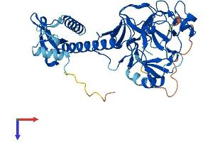 SUV39H1 Protein (AA 1-412) (His tag)