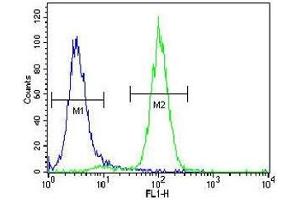 Acetylcholinesterase antibody flow cytometric analysis of human NCI-H460 cells (right histogram) compared to a negative control (left histogram).