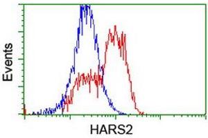 HEK293T cells transfected with either RC204925 overexpress plasmid (Red) or empty vector control plasmid (Blue) were immunostained by anti-HARS2 antibody (ABIN2455227), and then analyzed by flow cytometry.