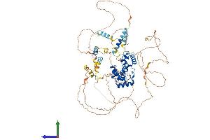 Protein Structure (PS) image for Myb-Like Protein 1 (MYBL1) (AA 1-751) protein (His tag) (ABIN7563411)