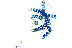 AlphaFold protein structure predicition of Human Recombinant TAS2R43 Protein, UniprotID P59537