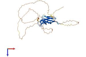 STBD1 Protein (AA 1-338) (His tag)