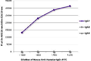 ELISA image for Mouse anti-Hamster IgG1 antibody (FITC) (ABIN5707442)