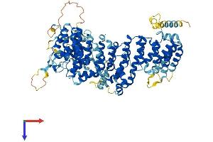 AP5Z1 Protein (AA 1-807) (His tag)