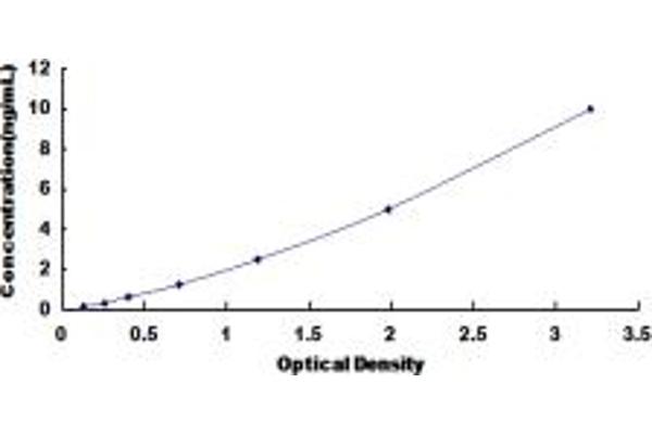 ARPC2 ELISA Kit