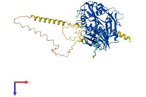 EIF3D Protein (AA 1-548) (His tag)