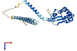 OTUD6B Protein (AA 1-294) (His tag)