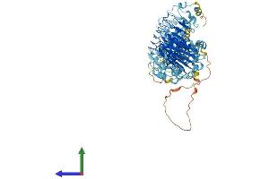 Protein Structure (PS) image for Leucine Rich Repeat Containing 8 Family, Member B (LRRC8B) (AA 1-803) protein (His tag) (ABIN7563810)