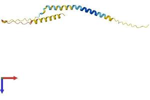 BEX1 Protein (AA 1-125) (His tag)