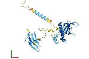 Protein Structure (PS) image for PIH1 Domain Containing 1 (PIH1D1) (AA 1-290) protein (His tag) (ABIN7550714)