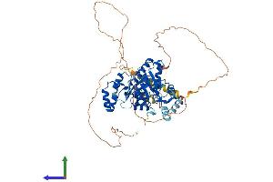 Protein Structure (PS) image for 5'-Nucleotidase, Cytosolic IB (NT5C1B) (AA 1-573) protein (His tag) (ABIN7560101)