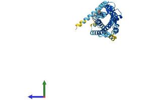 Protein Structure (PS) image for Chemokine (C-C Motif) Receptor 9 (CCR9) (AA 1-369) protein (His tag) (ABIN7553023)