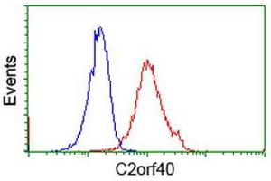 Image no. 2 for anti-Chromosome 2 Open Reading Frame 40 (C2orf40) antibody (ABIN1497047) (C2orf40 Antikörper)