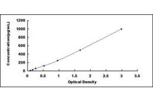 CPN1 ELISA Kit